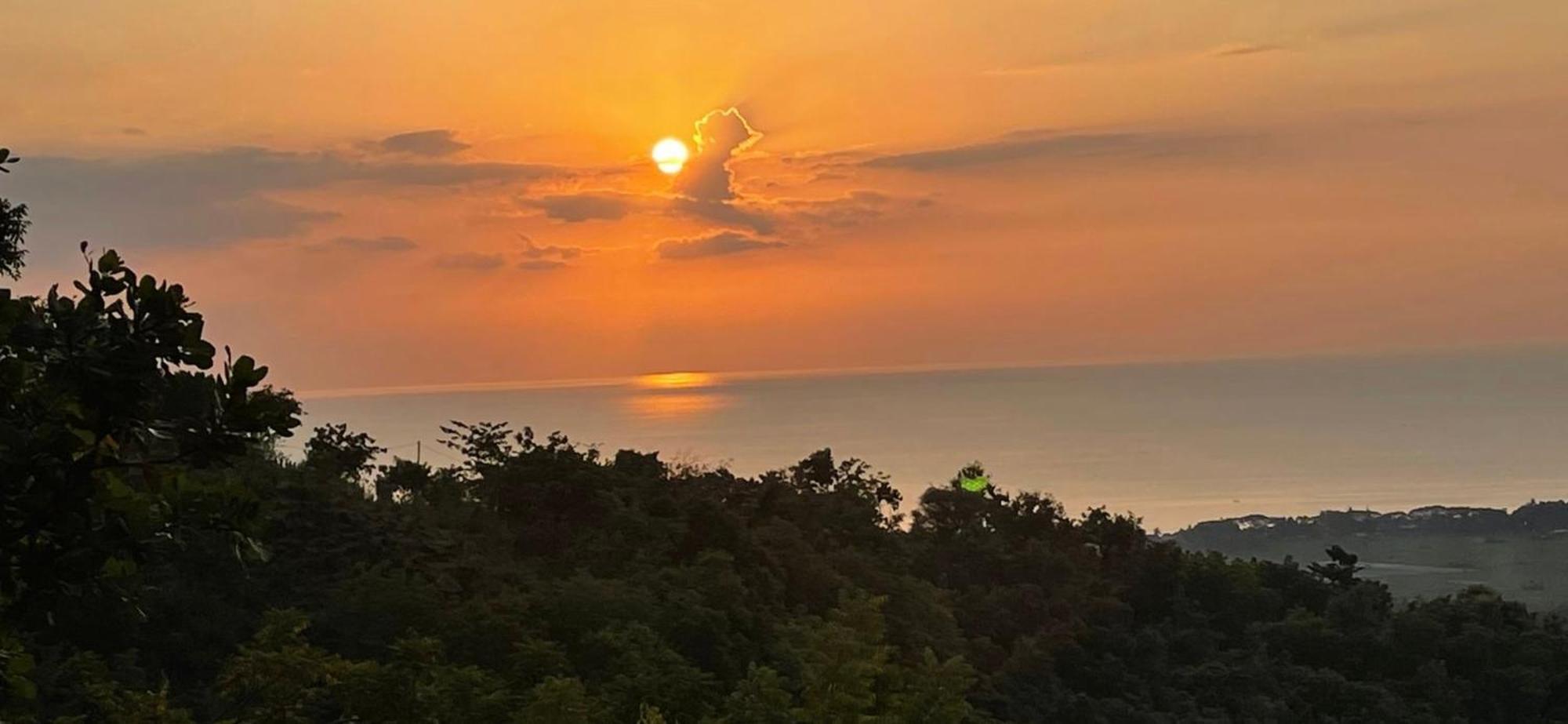 B&B Ereprijs Χάγη Εξωτερικό φωτογραφία